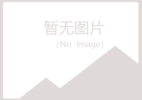 北湖区女孩能源有限公司